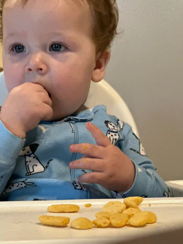  Introducing First Solid Foods